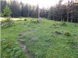 End of road on Pokljuka - Viševnik